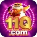 11q VIP Latest v5.0.8